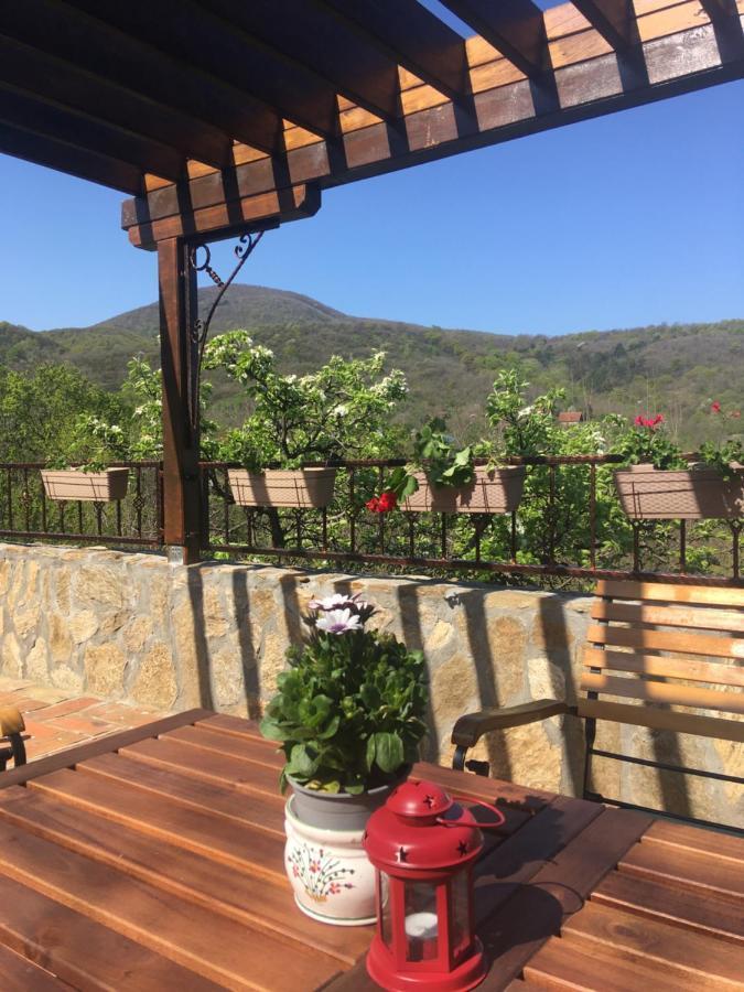 Apartman Casa Skerlak Malo Srediste Luaran gambar
